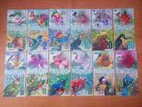 Banknoty kolekcjonerskie Aurora M116