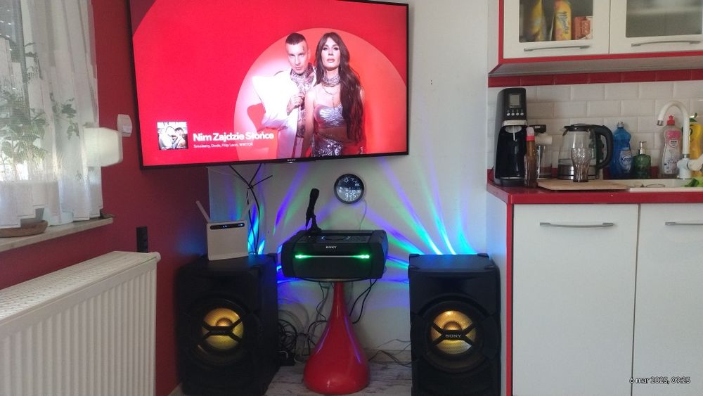 Wieża Sony shake x30D