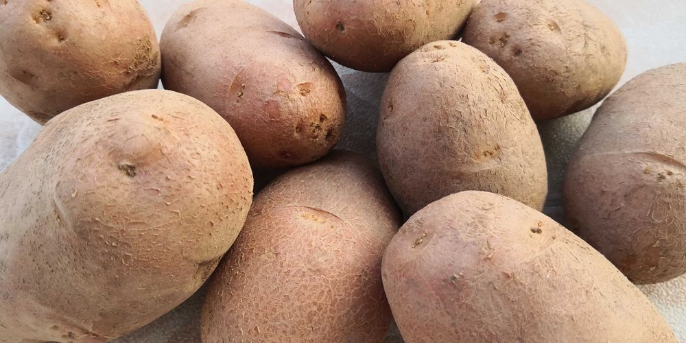 batatas vermelhas