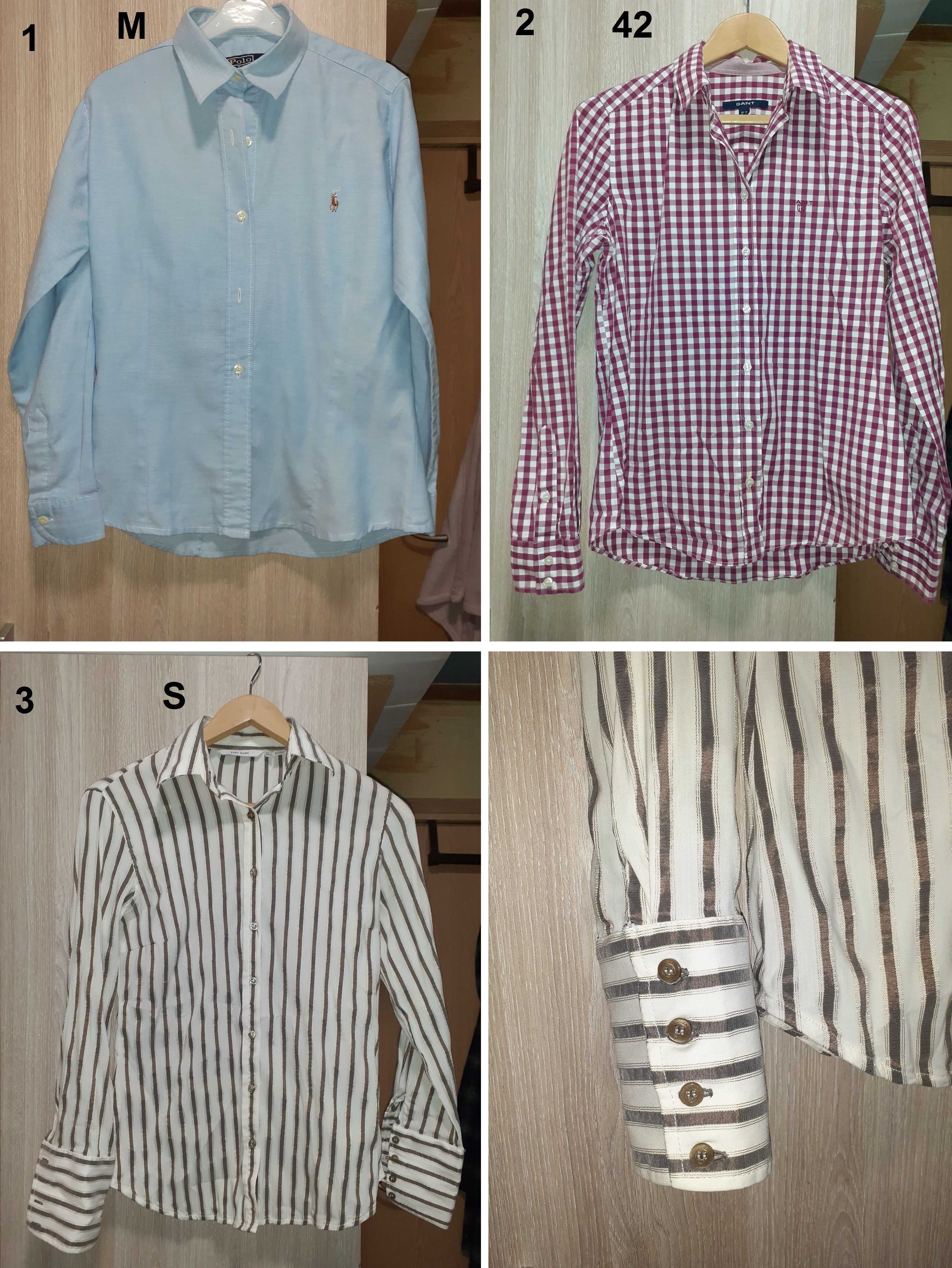 10 Camisas (Ralph Lauren, Gant, Zara) - do S ao XL