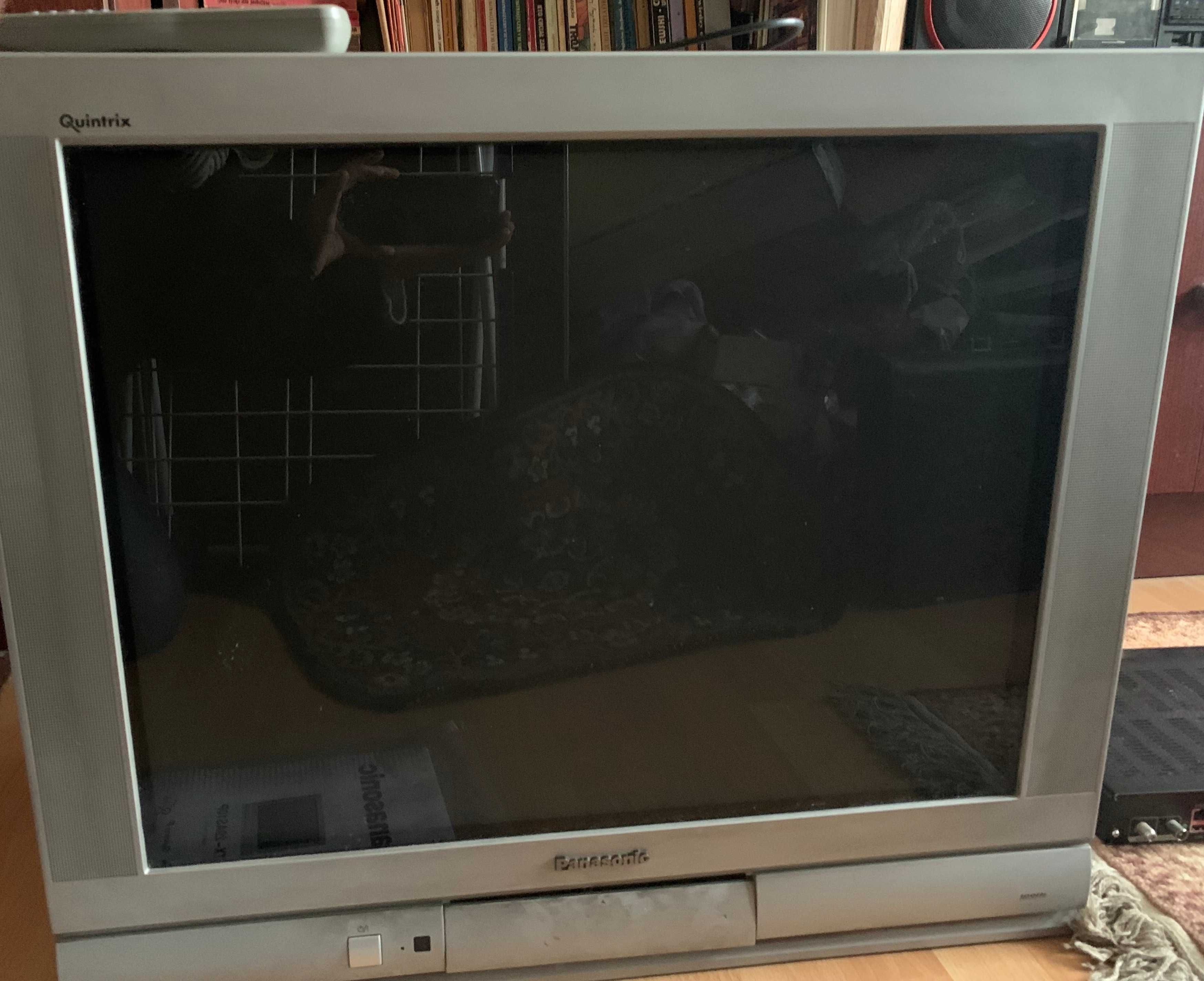 Telewizor PANASONIC TX – 29AS10P analog