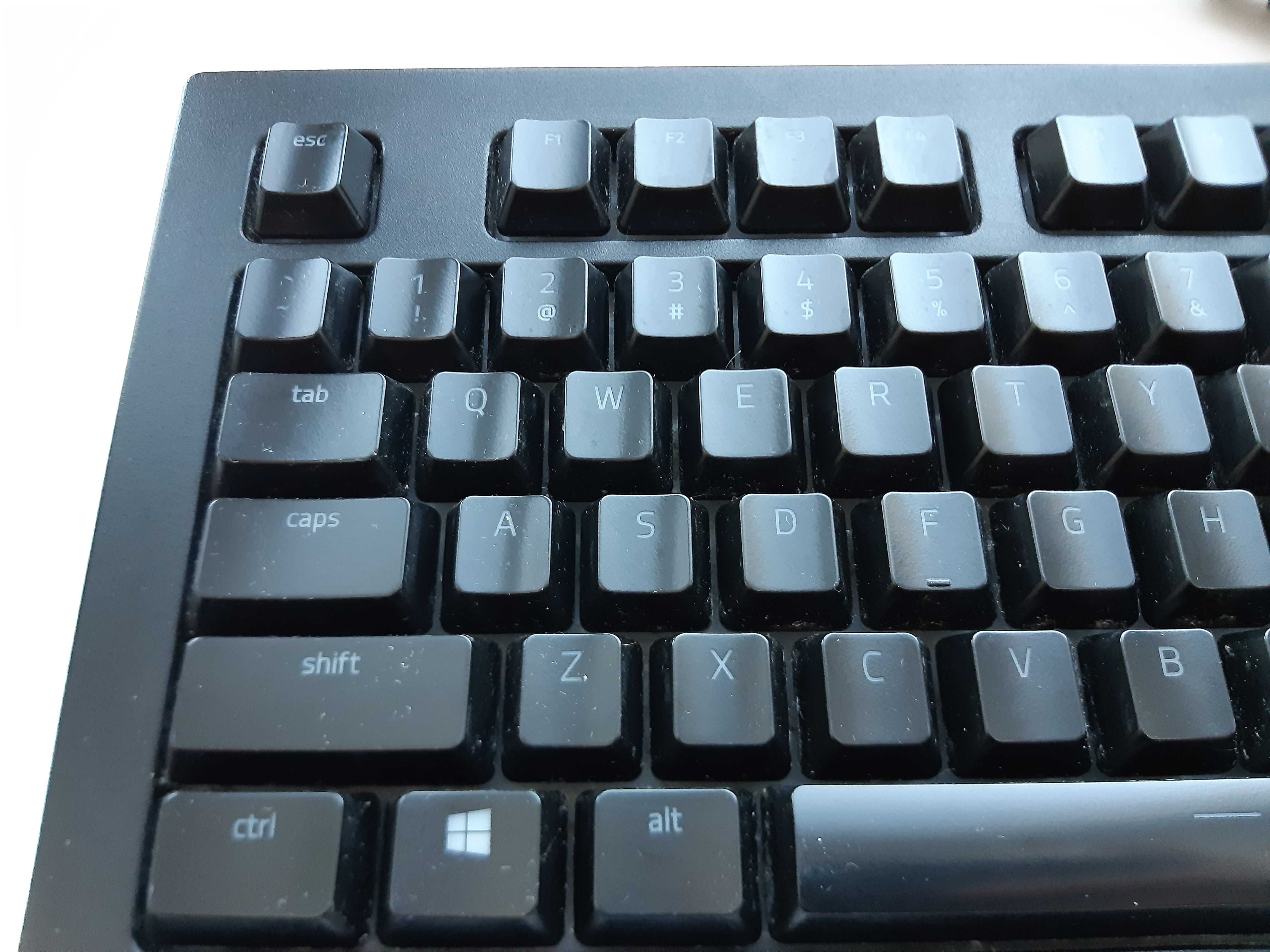 Razer cynosa v2 rgb підсвітка