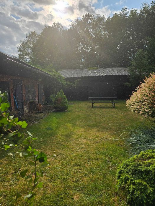 Wynajem siedlisko foto zdjęcia eventy stodoła sesje świąteczne studio