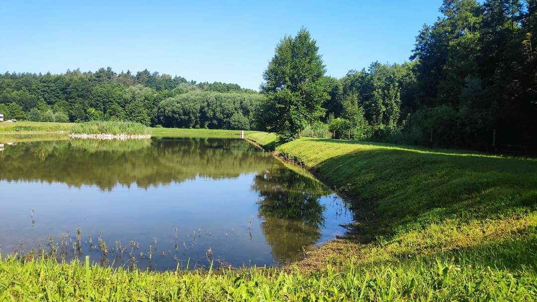 Agroturystyka Chycina.PL - zakochaj się w Chycinie