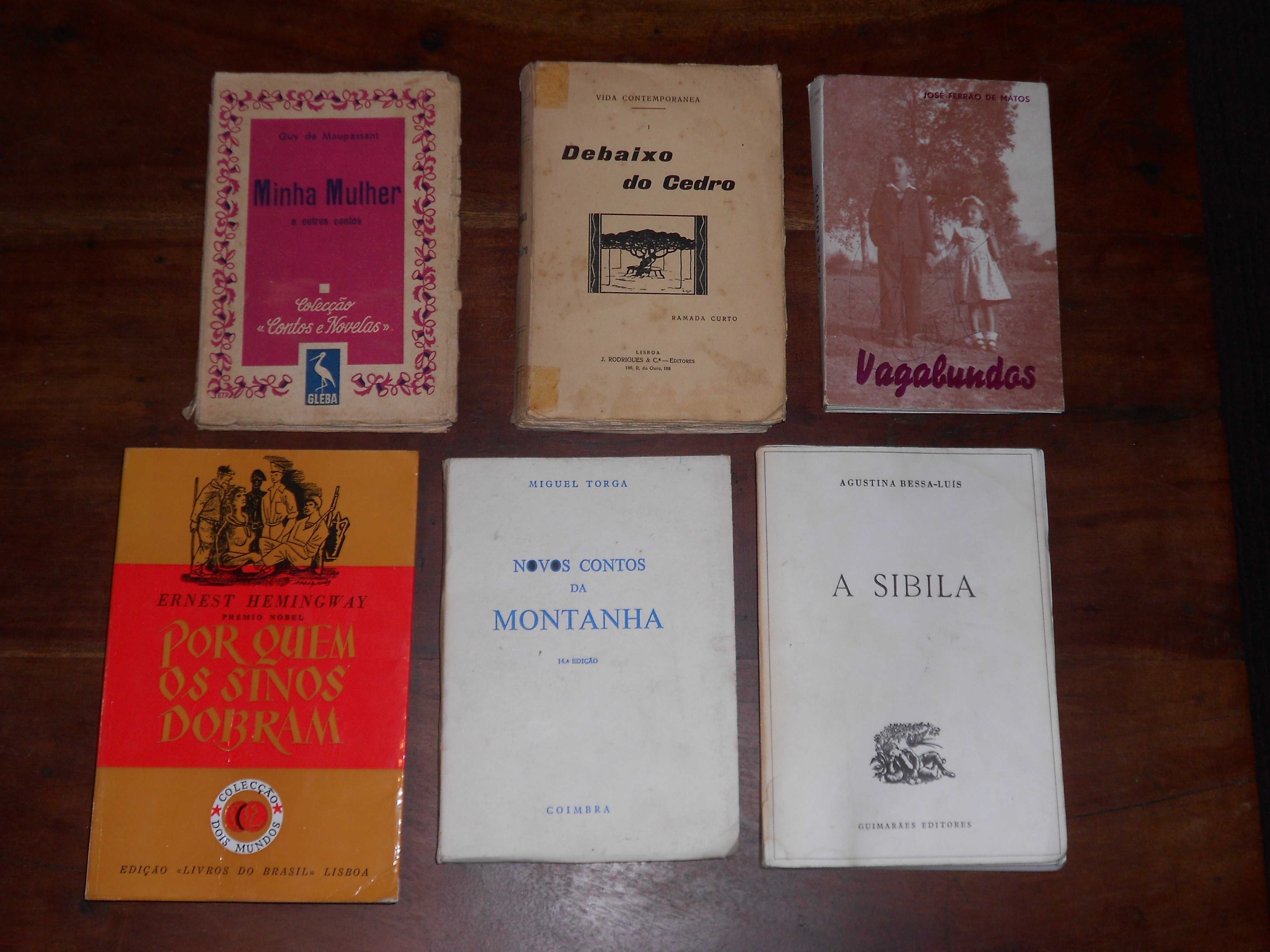 Livros Ferrao Matos, Maupassant, Torga, Bessa-Luis, Curto, Hemingway