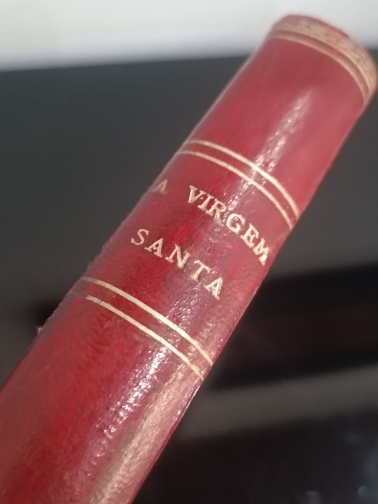 Livro   A Virgem Santa
