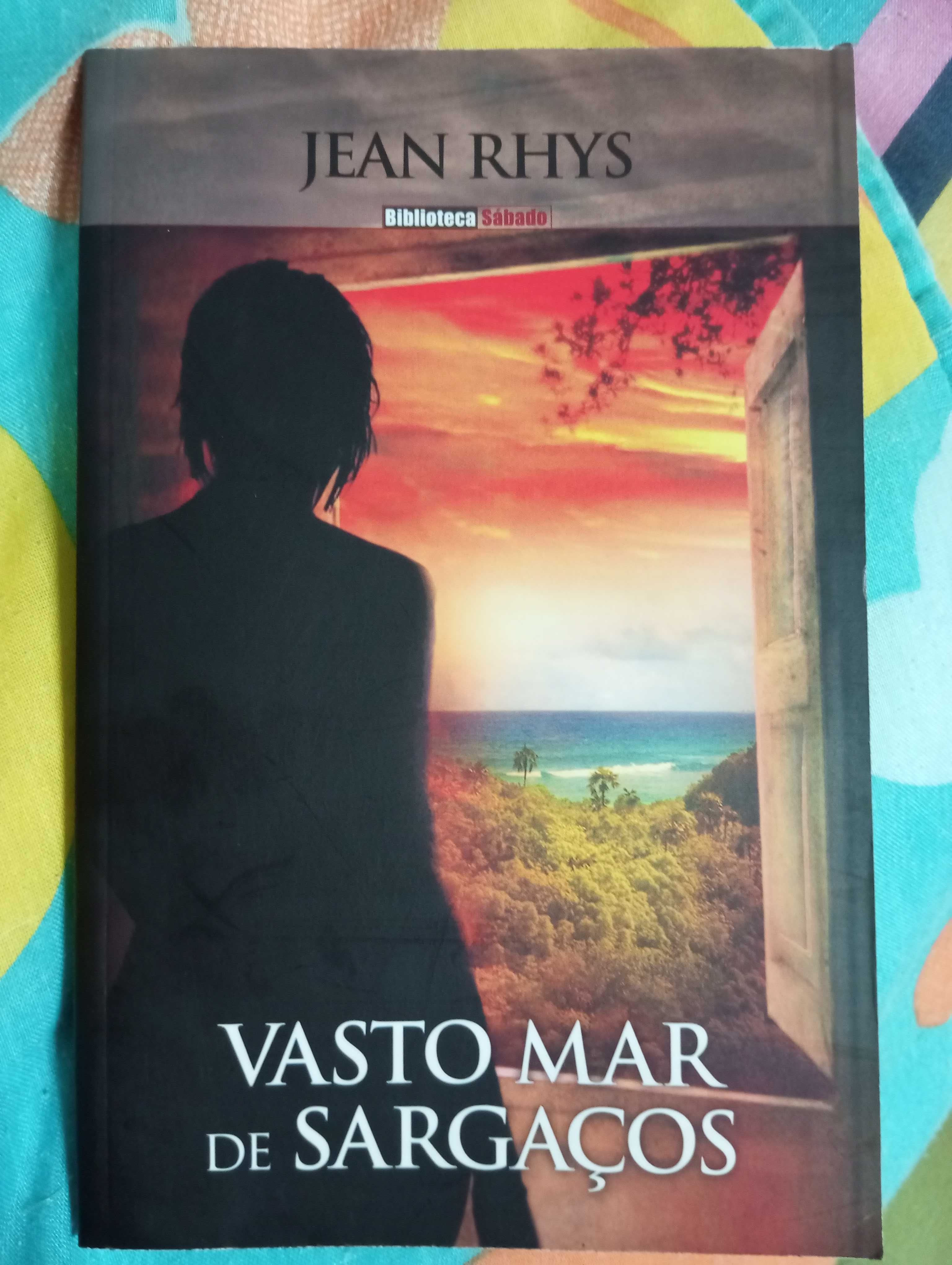 Basto mar de sargaços, Jean Rhys