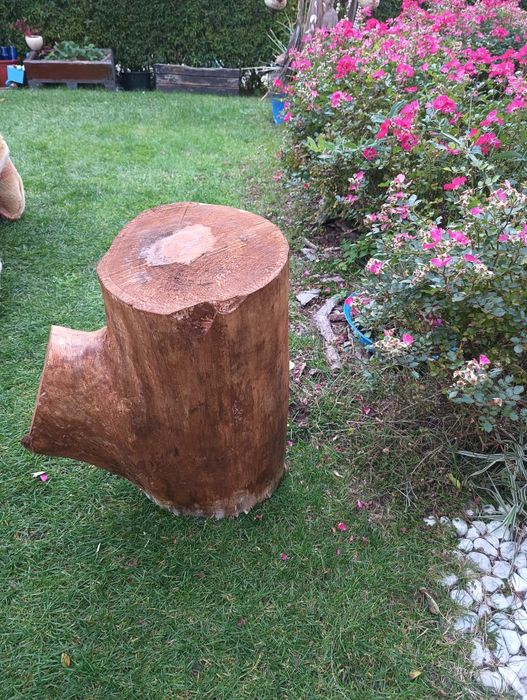 Pień z drewna bardzo duży.