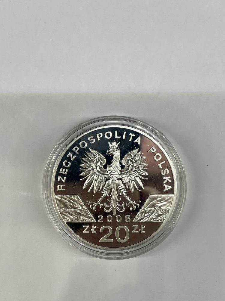 Moneta srebro 20 zł z 2006 roku - Świstak