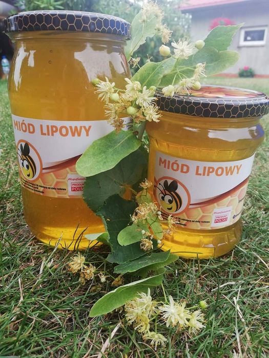 Miód lipowy 2025