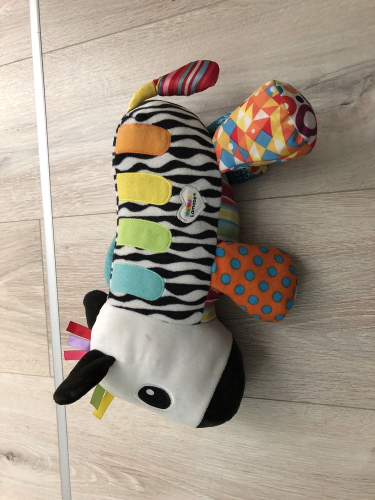 Tomy Lamaze Koncertowa zebra Kosimo