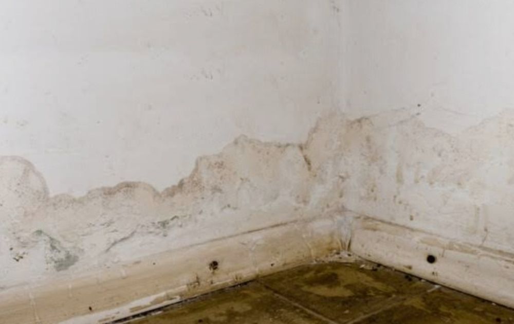 Iniekcja Osuszanie wilgoci kamienice domy ściany fundamenty