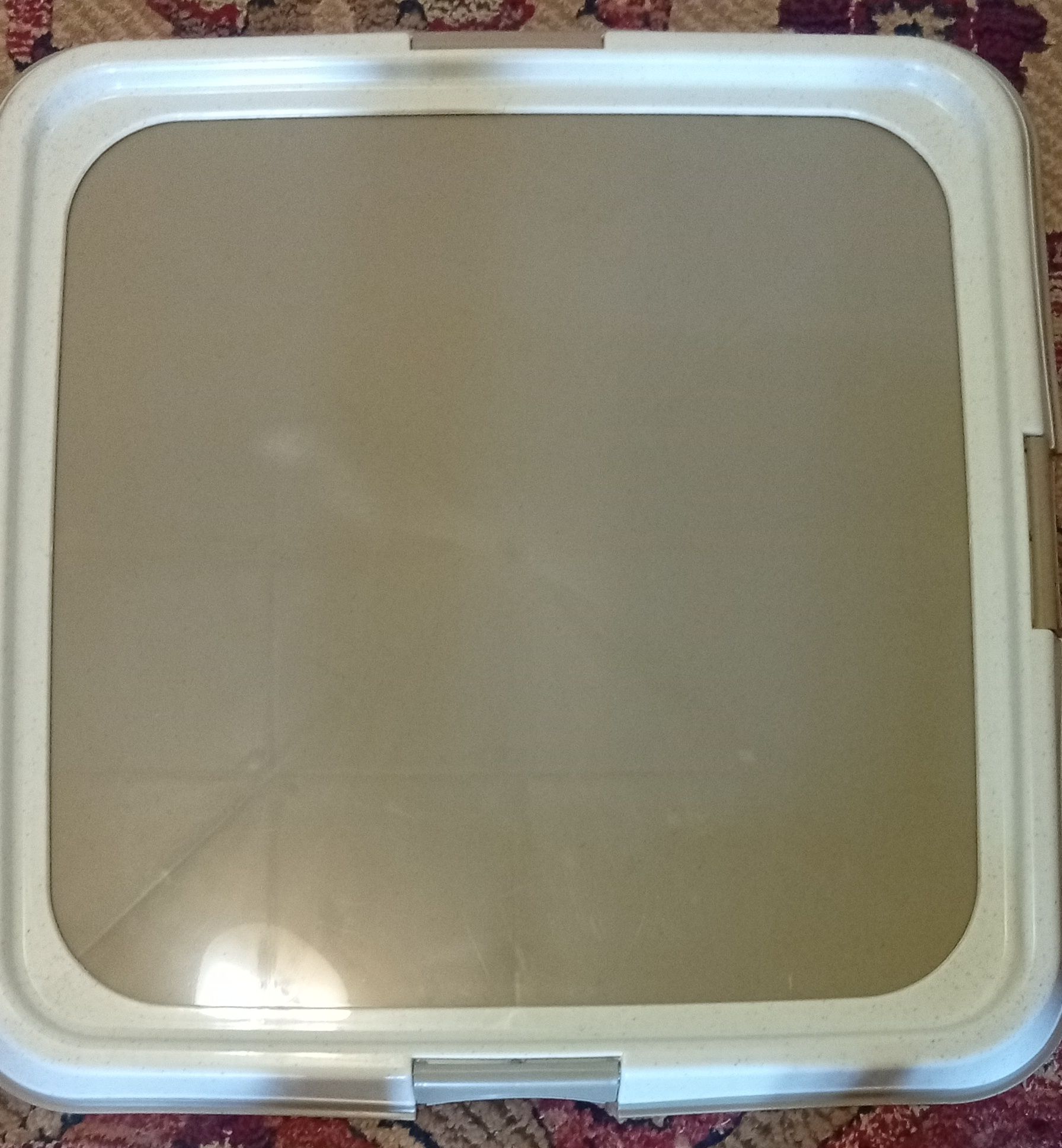 Bandeja higiénica para cães