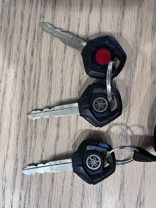 Yamaha Tenere 700 world raid