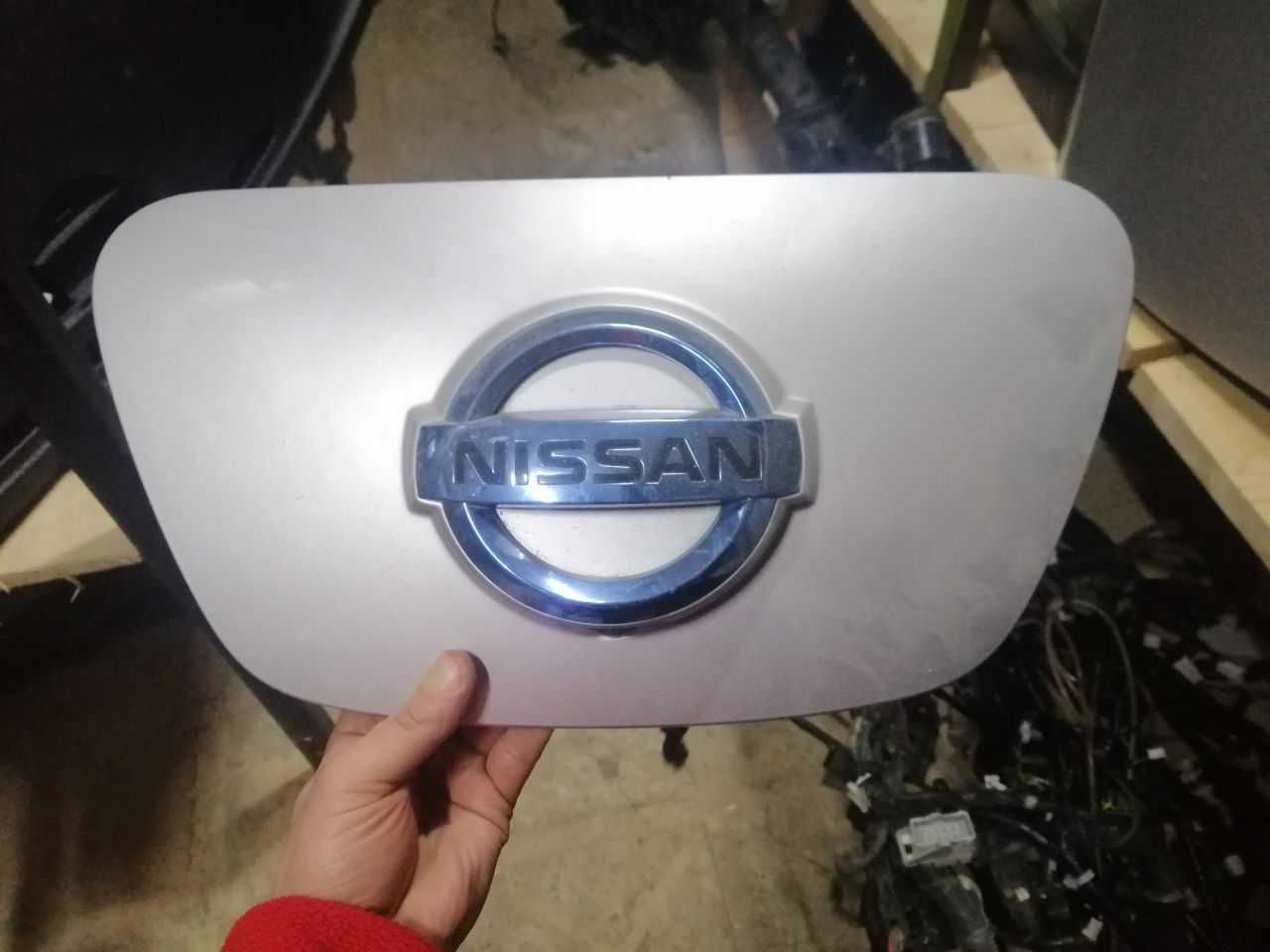 Розборка, запчастини, елементи кузова по Nissan Leaf 2010 - 2022 років