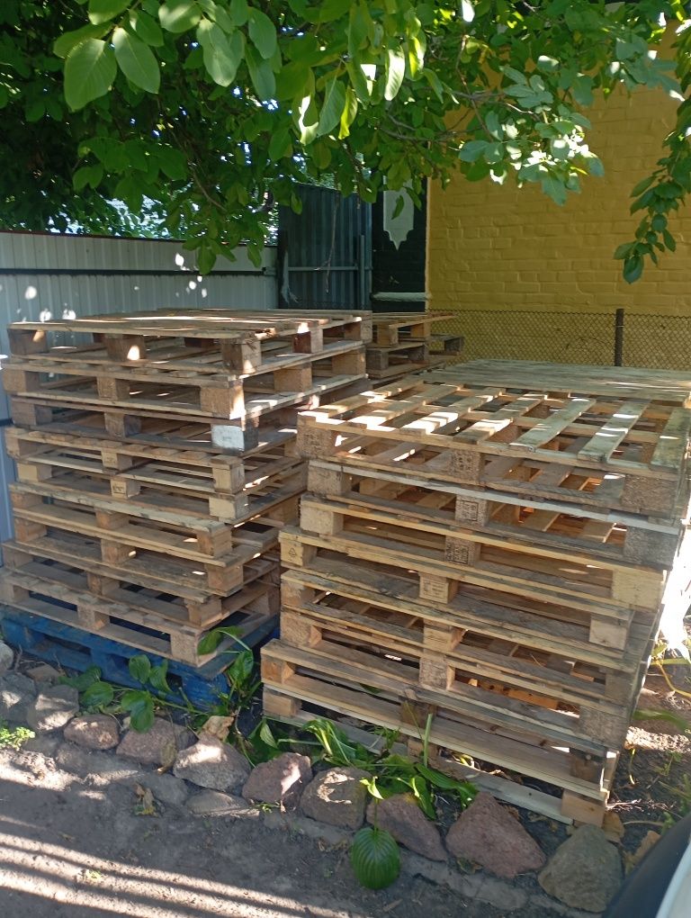 Продам піддони дерев'яні