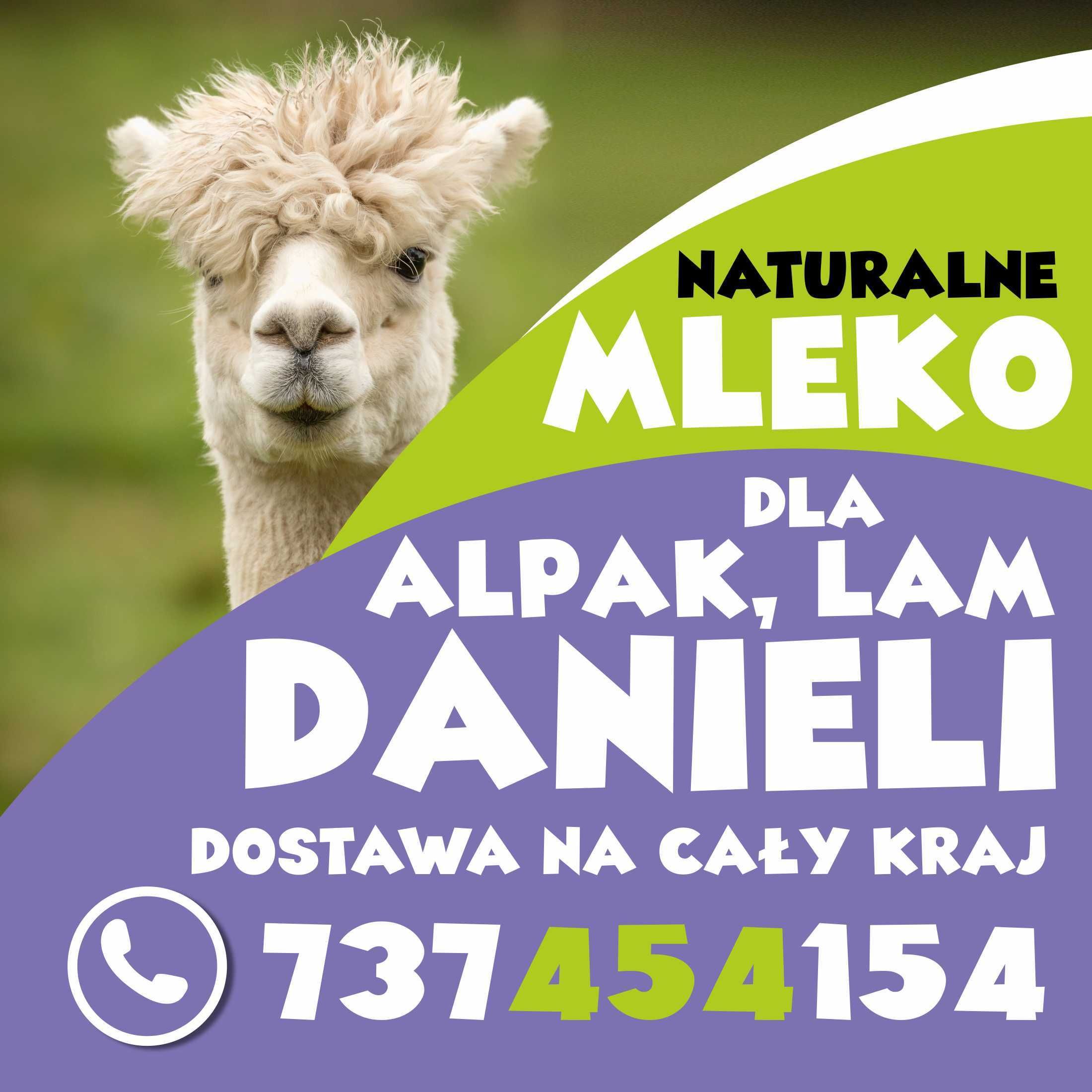 mleko dla alpaki lamy danieli sarny odchów bez biegunek  bez problemów