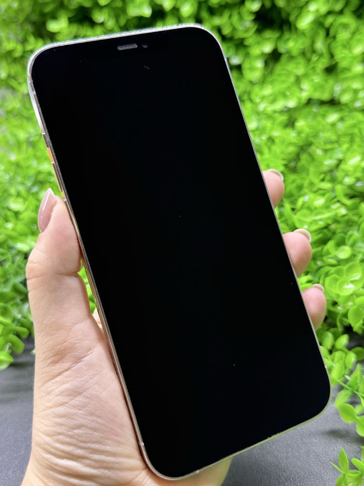 iPhone 12 Pro Max, 256Gb, Silver (Neverlock) Айфон 12 Про Макс, 256гб