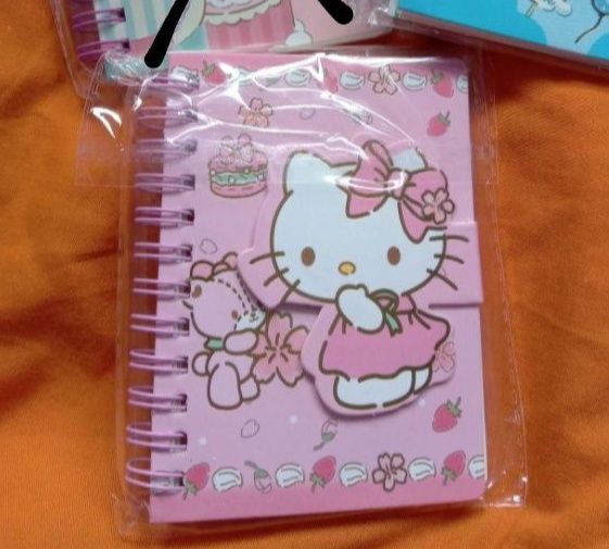 Nowy notes notesik sanrio hello kitty