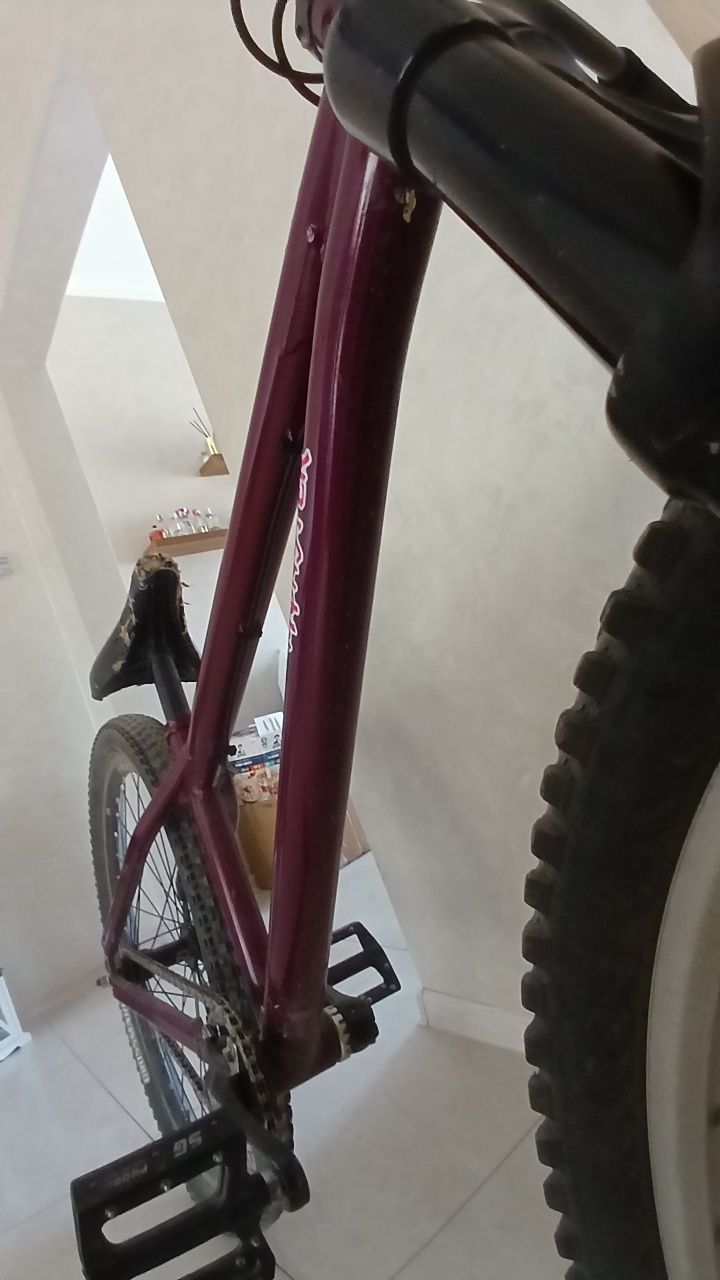 MTB Mongoose 2021