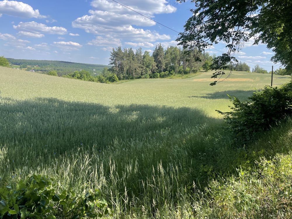 Teren inwestycyjny na salę weselną, agroturystykę, itp.