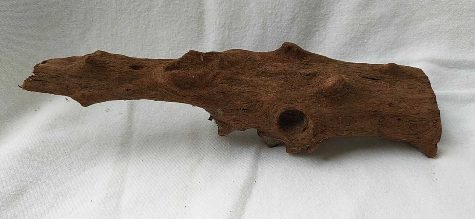 Korzeń do akwarium-24 cm