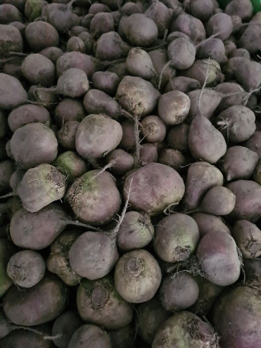 Buraki ćwikłowe ekologiczne