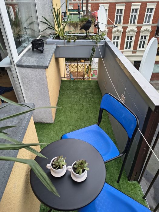 Mieszkanie do wynajęcia w centrum Świebodzina