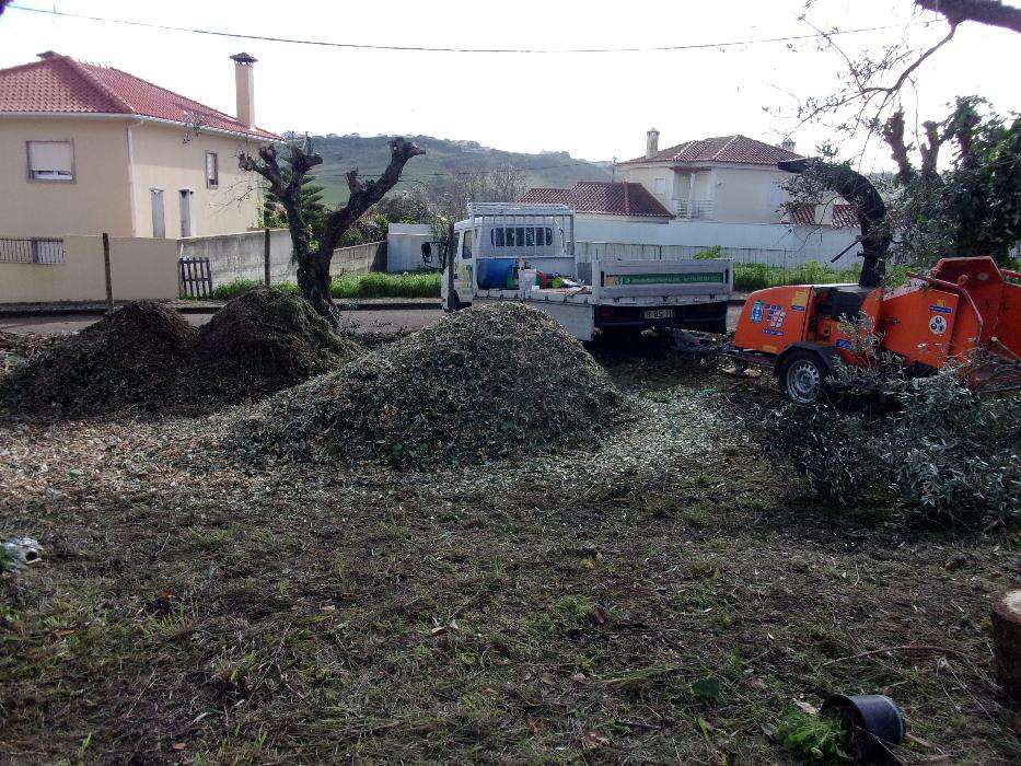 Triturador,estilhaçador para produção de adubo biológico