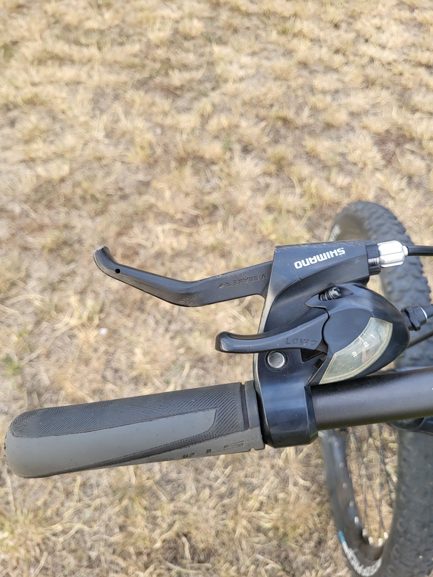 Rower bulls wildtail 1          26"