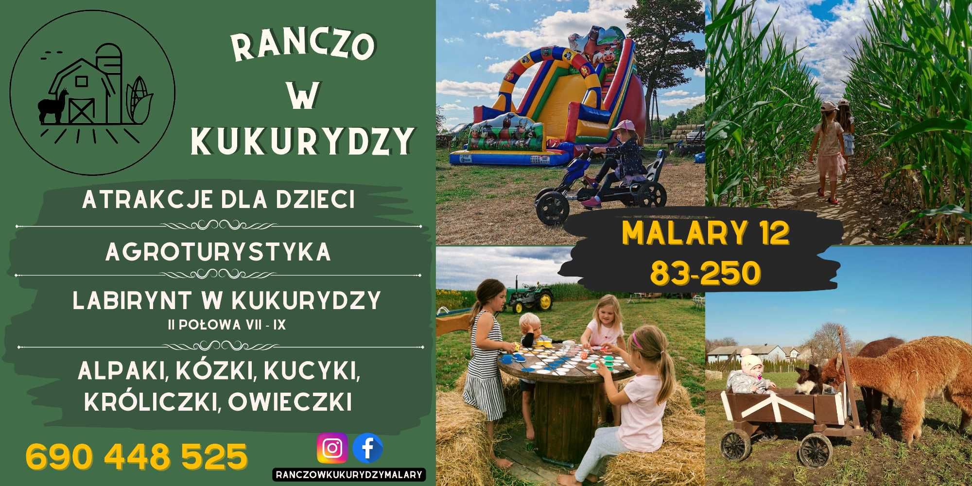 Agroturystyka nocleg pokoje wynajem morze kaszuby zwierzęta kociewie