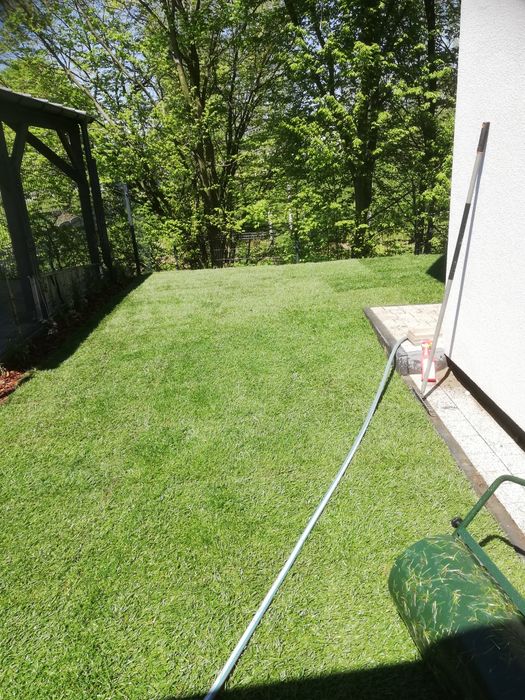 Zakładanie trawników, automatyczne systemy nawadniania, oświetlenie