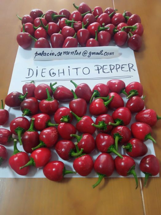 Pimenta Dieghito (especial)