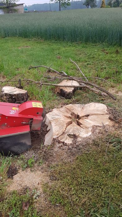 Wycinka drzew, wycinka drzewa, frezowanie pni, Rębak do gałęzi,