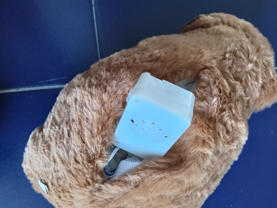 Capivara respira e com som