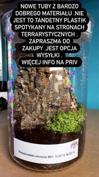 Terrarium tuba (ptaszniki i inne zwierzeta terrarystyczne)