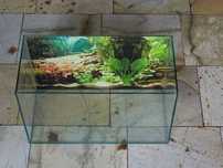 Akwarium 20l  44x21,5x21cm