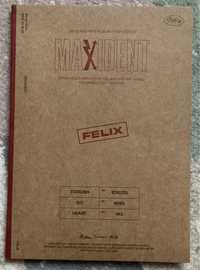 Maxident (Stray Kids) Felix