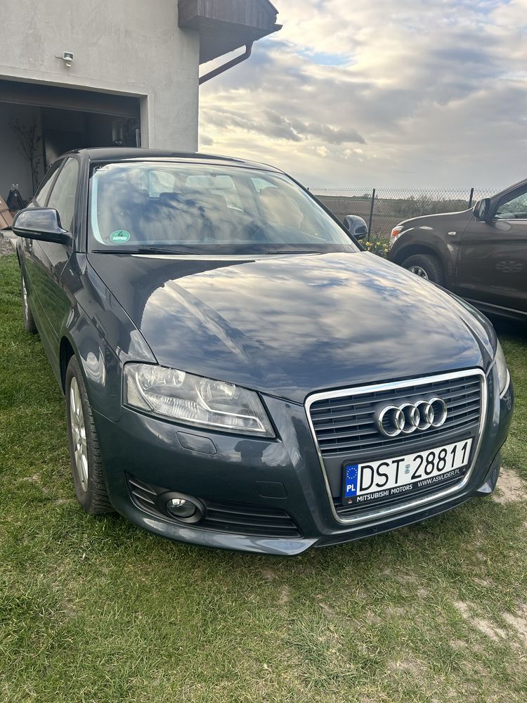 Audi A3 8P 1.6 MPI
