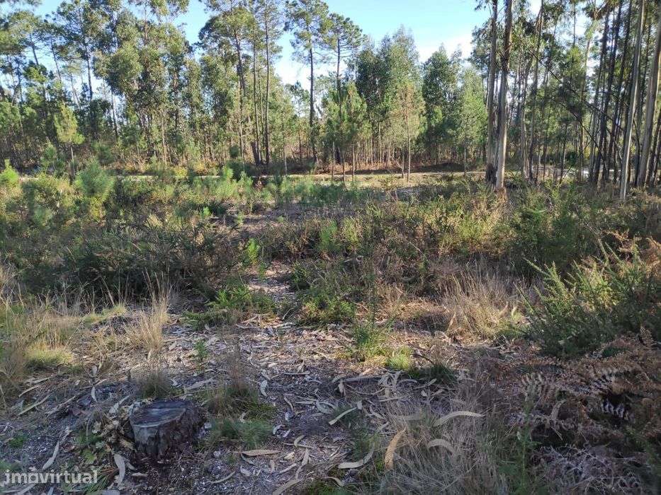 Terreno Rústico a 6 Kms do Centro