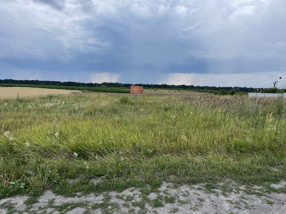 Продаю земельну ділянки в смт. Калита