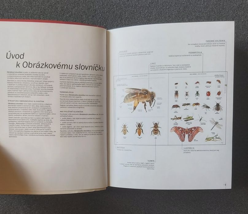 Słownik obrazkowy słowacki angielski Corbeil słowniczek