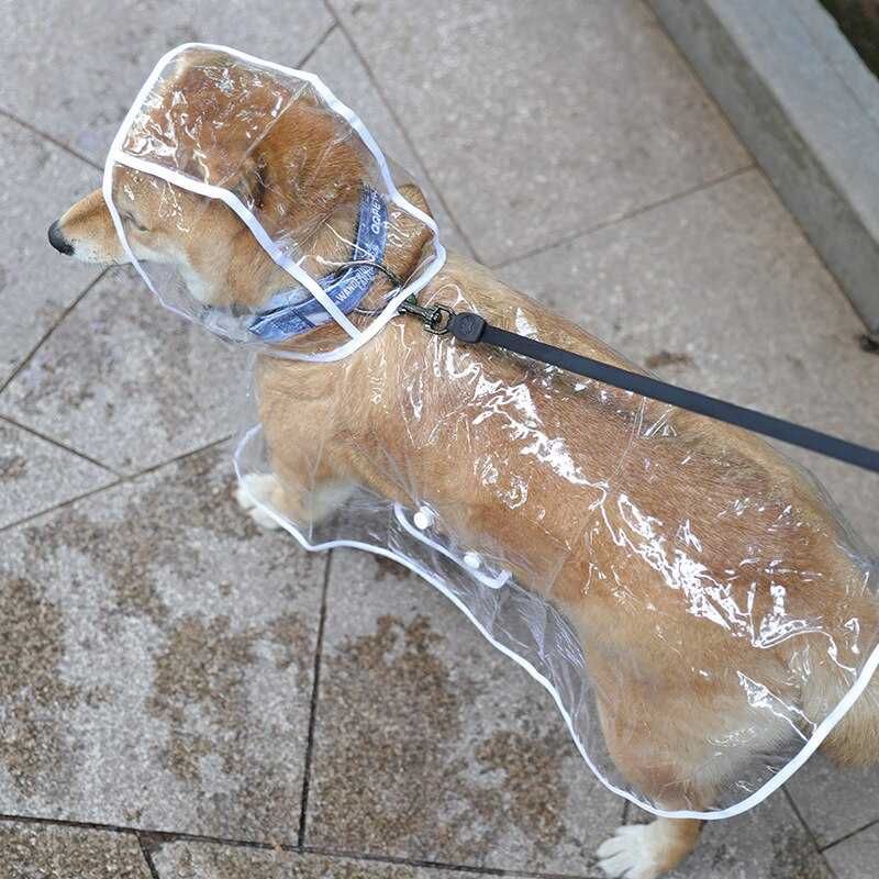 Pet Dog przezroczysty płaszcz przeciwdeszczowy