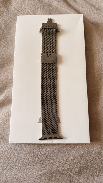 Apple 49mm Titanium Milanese Loop