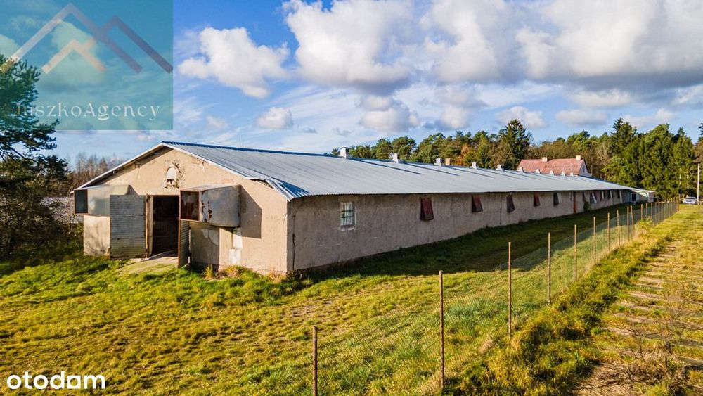 Hala magazynowa 1000m2 blisko drogi S7