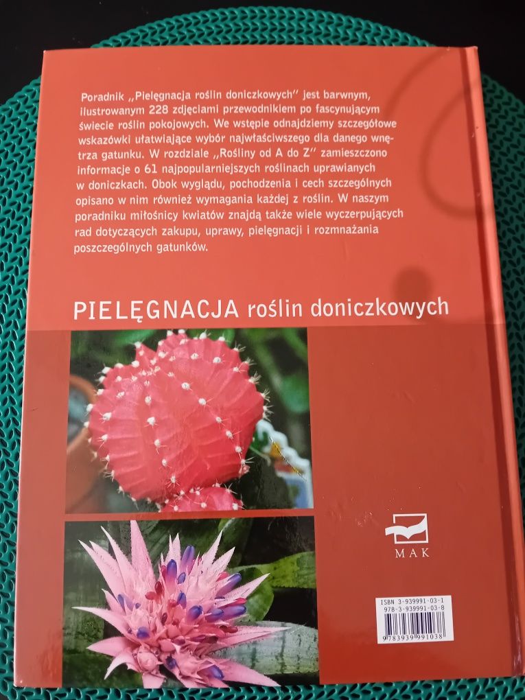 Pielęgnacja roślin doniczkowych