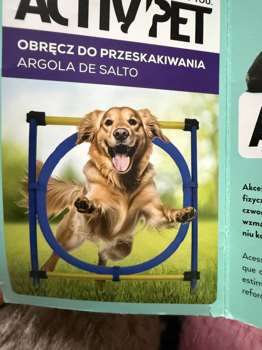 Przeszkoda dla psa obrecz