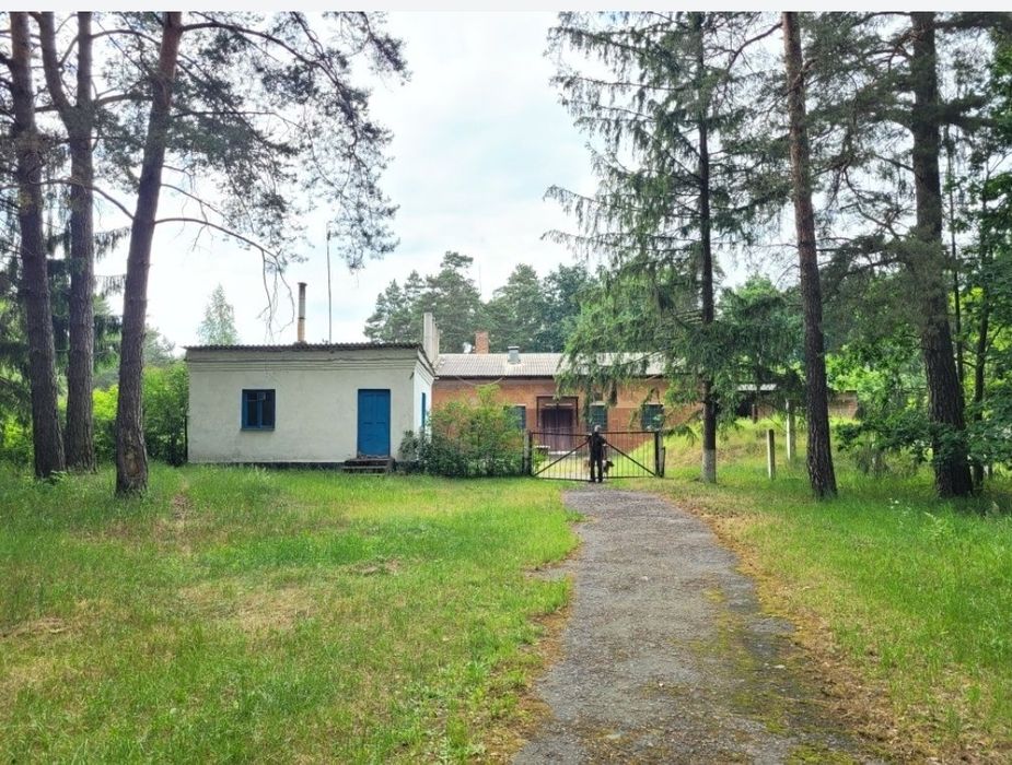 Продам! Виробничу базу,(ковбасний цех) 58сот, 530м2!