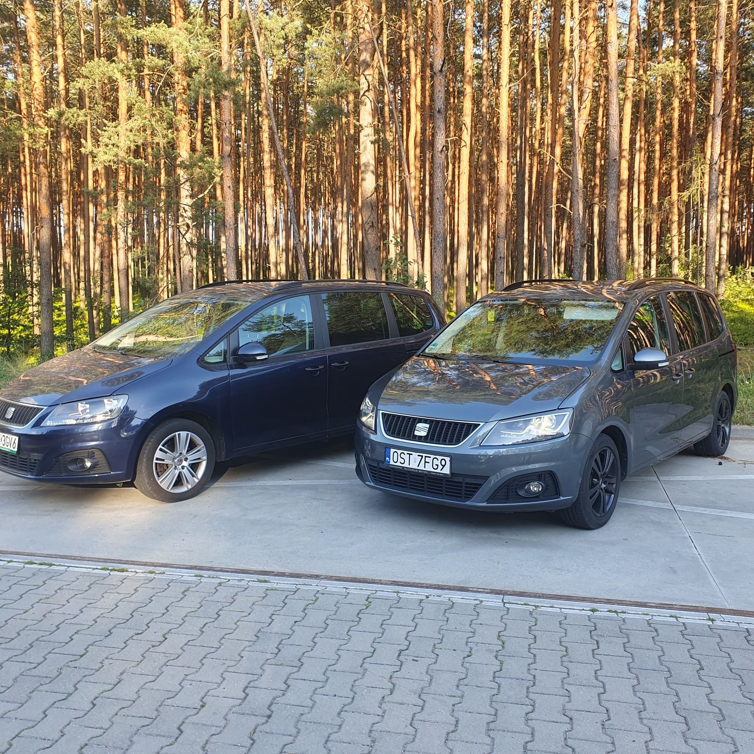 Wynajmem Samochodów Osobowych/7 osobowe / Busy 9 osobowe