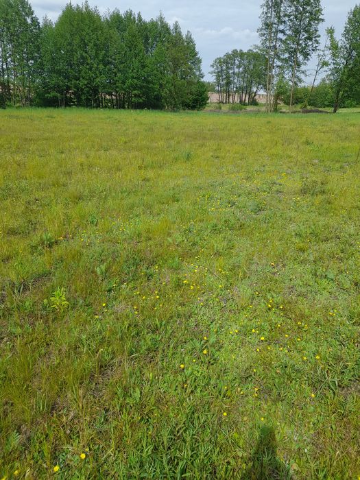 Działka budowlano-usługowa 1180m2